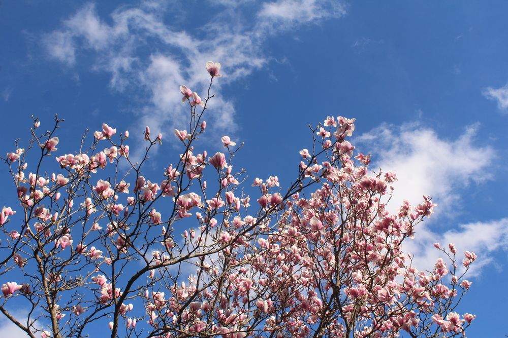 Photograph by Любовь Войводич