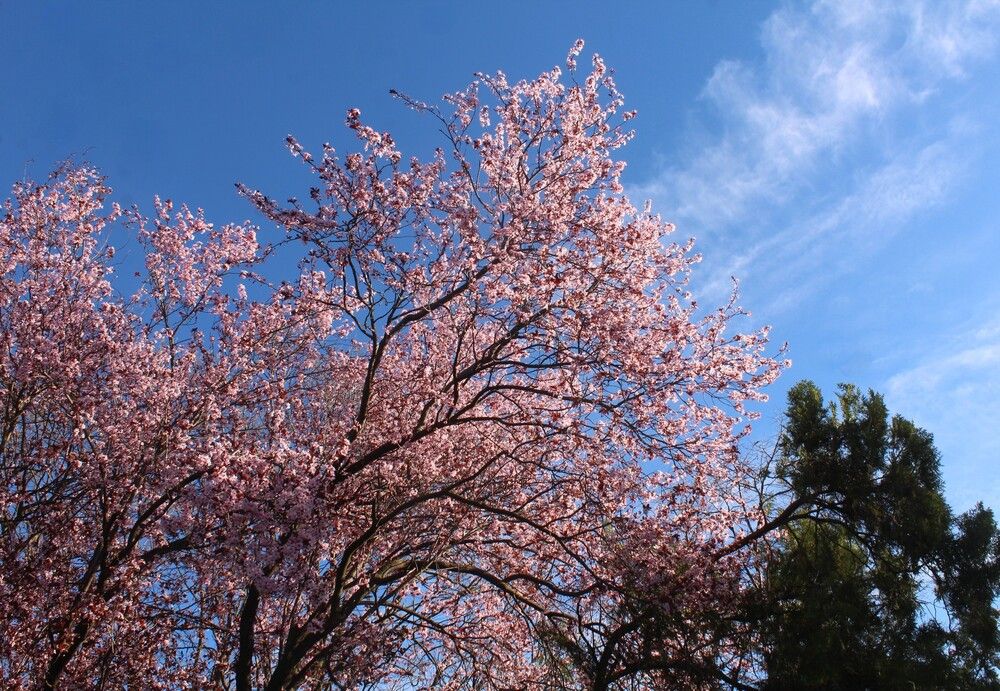 Photograph by Любовь Войводич