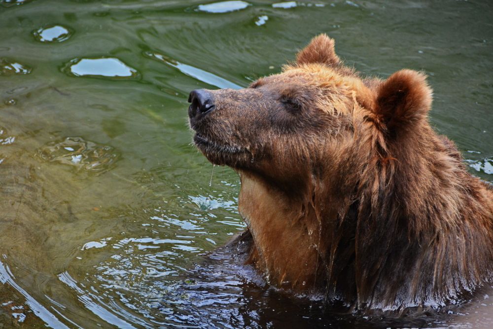 Photograph by Анастасия Смирнова