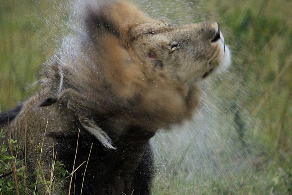 Photograph by Erasti Shish