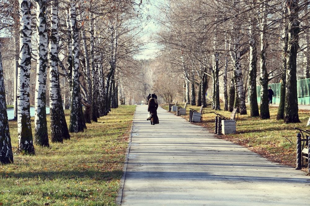 Фотография автора Юрий Звонарев