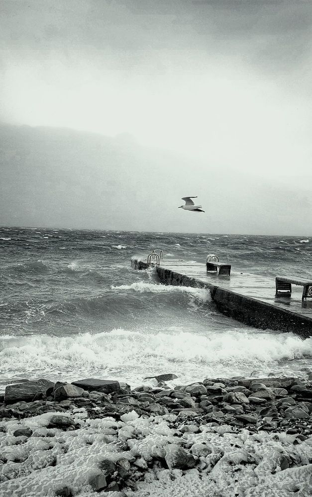 Photograph by Марина Жарикова