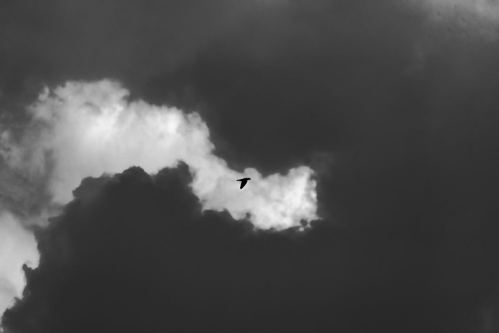 Photograph by Abhishek Pradhan