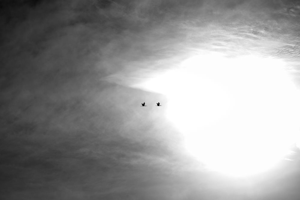 Photograph by Abhishek Pradhan