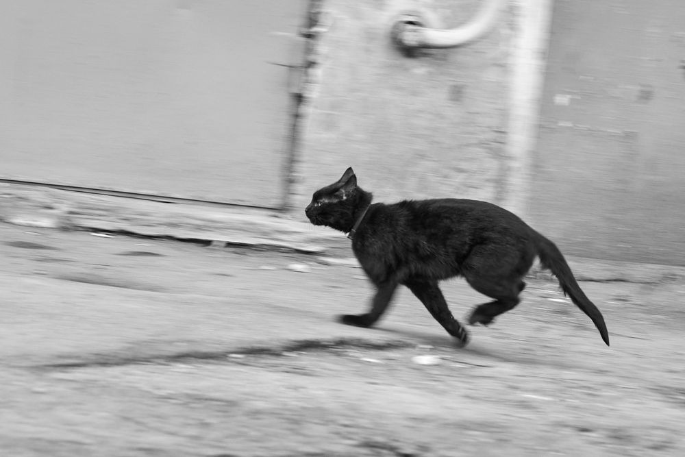 Photograph by Анна Опанасенко