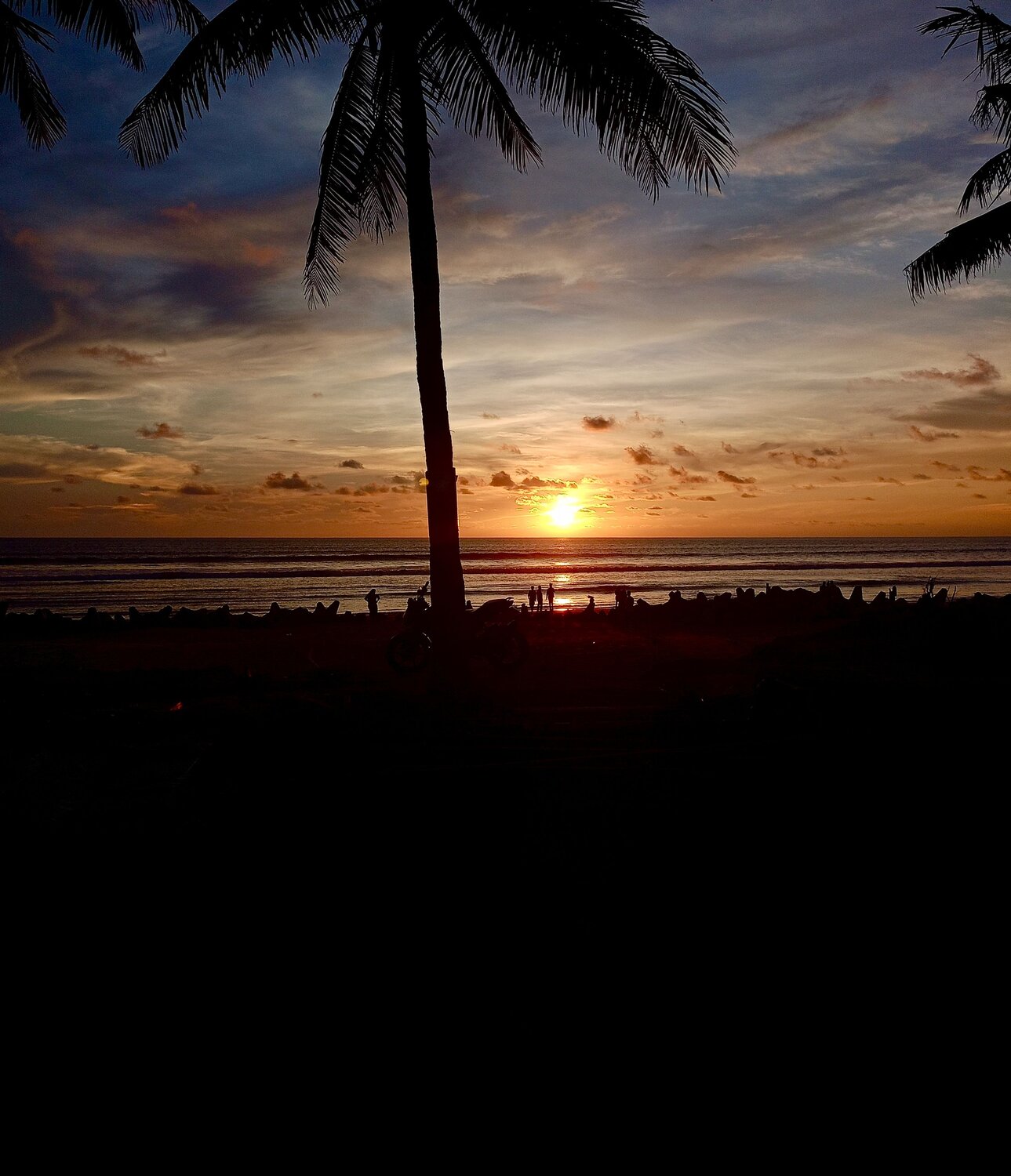 Photo #12834263