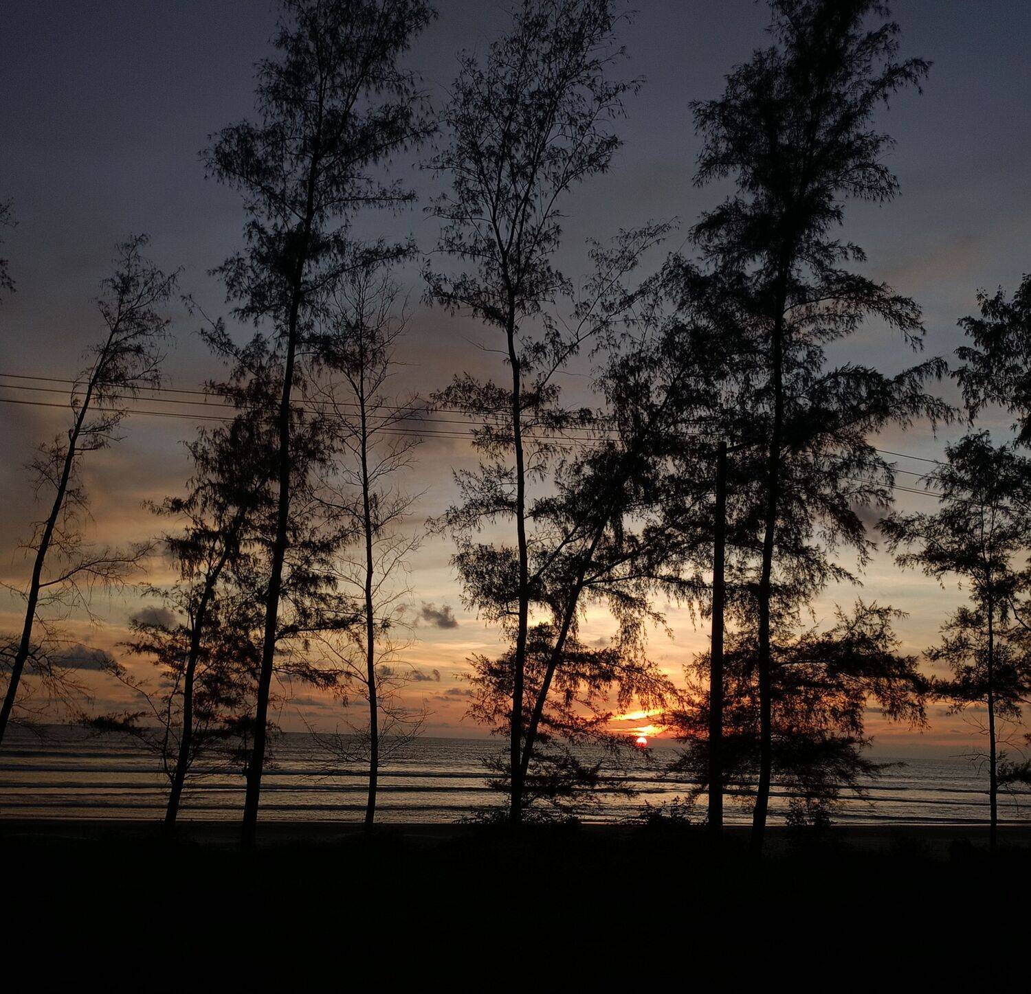 Sunset Through the Trees