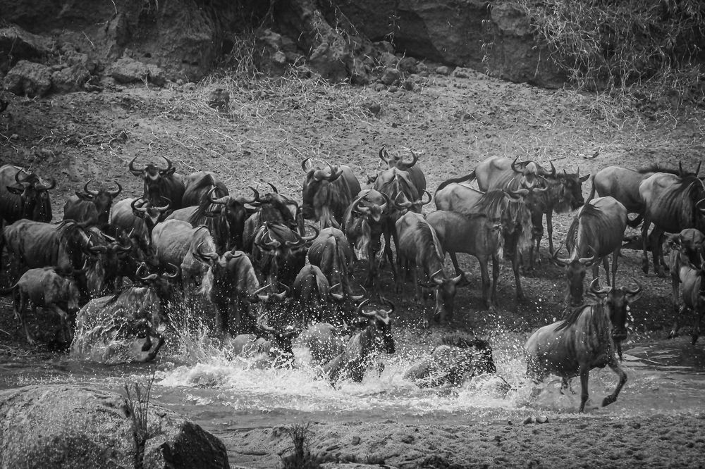 Photograph by Dipanjan Ray