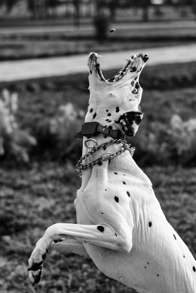 Photograph by Анна Опанасенко