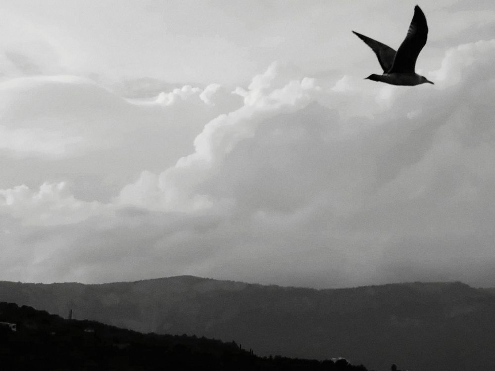 Photograph by Анна Корюшкина