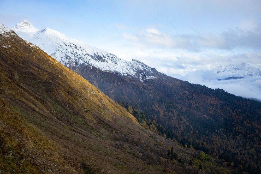 Photograph by Дмитрий Ефимов