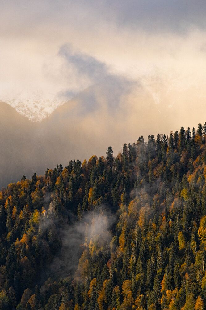 Photograph by Дмитрий Ефимов