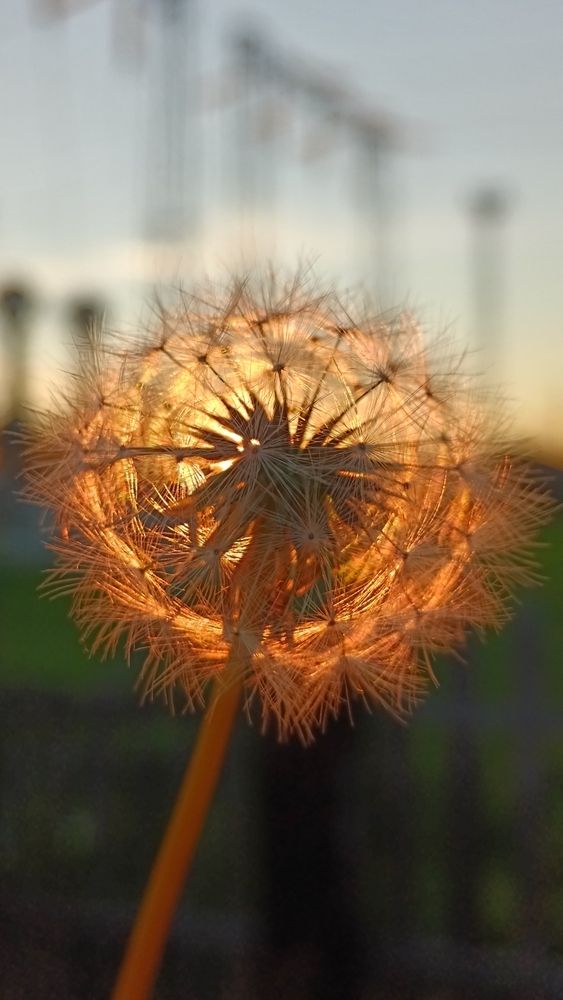 Photograph by Елена Кириленко