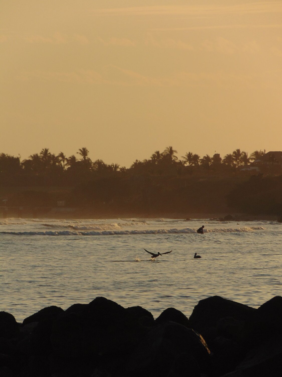 Photo #12834563