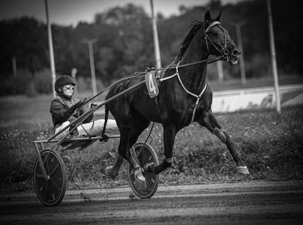 Photograph by Воронина Татьяна