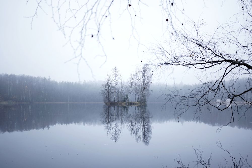Photograph by Таланова Алёна