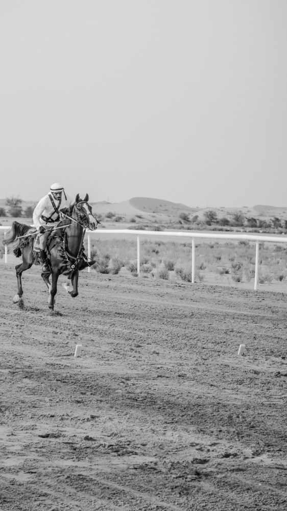 Фотография автора Sarrah Yehia