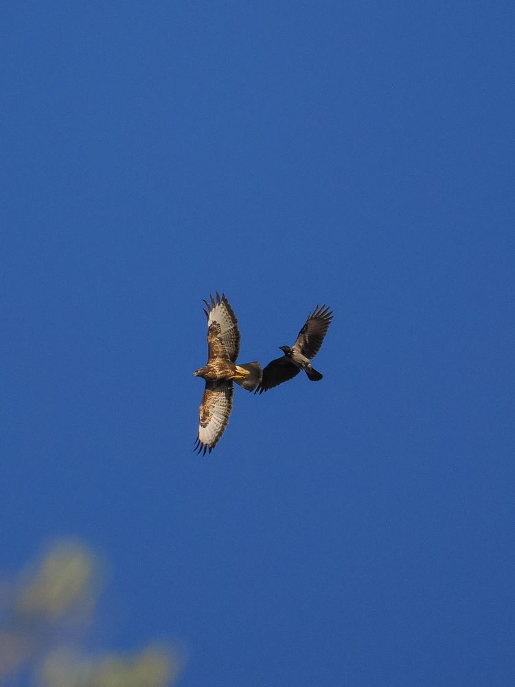 Photograph by Георгий Акопджанов