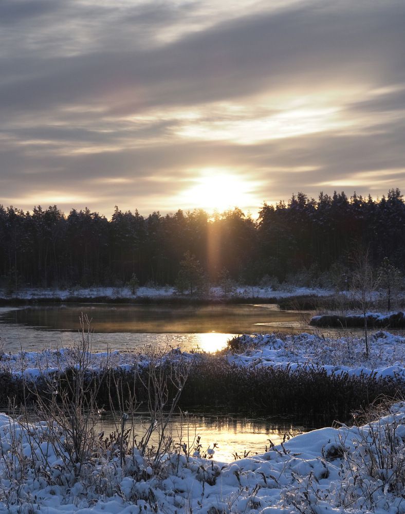 Photograph by Поляков Алексей