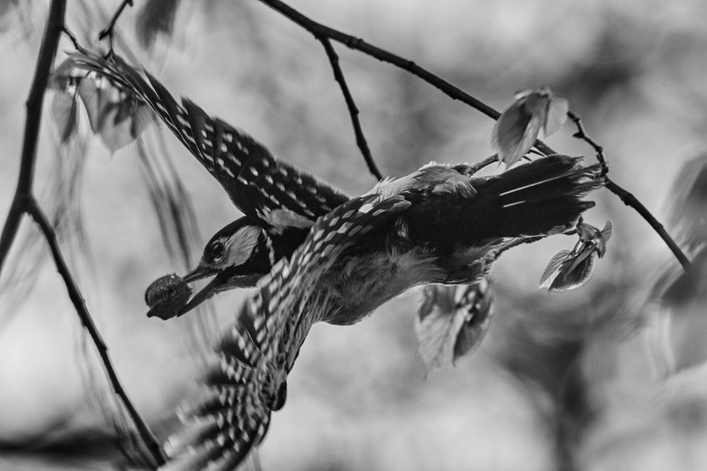 Photograph by Анна Опанасенко