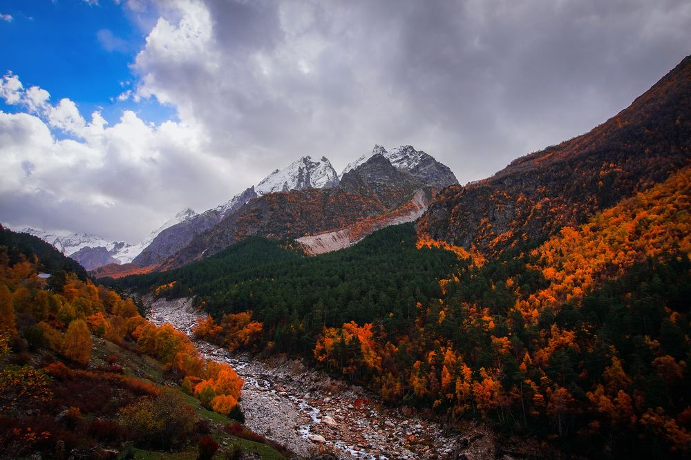 Фотография автора Вадим Карпов