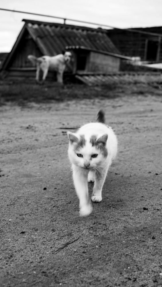 Photograph by Павел Соснин