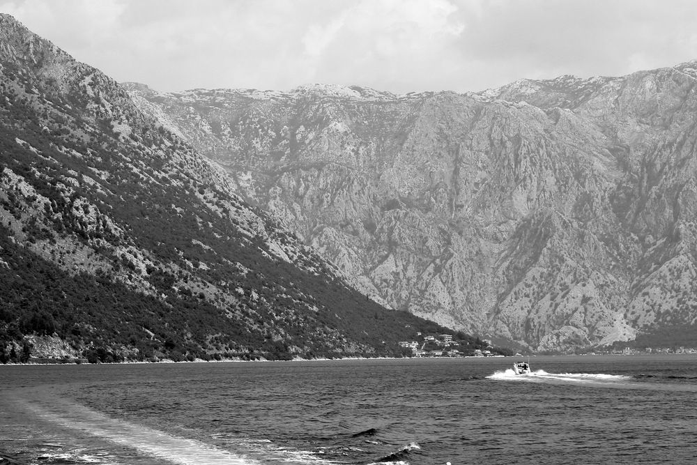 Photograph by Александр Гришин