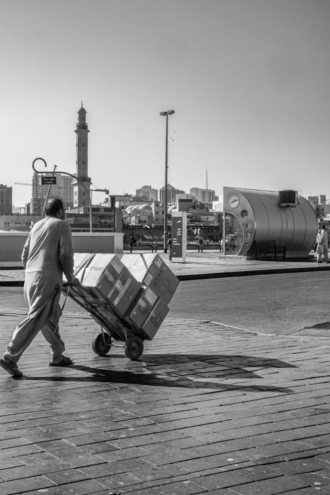 Фотография автора Sarrah Yehia