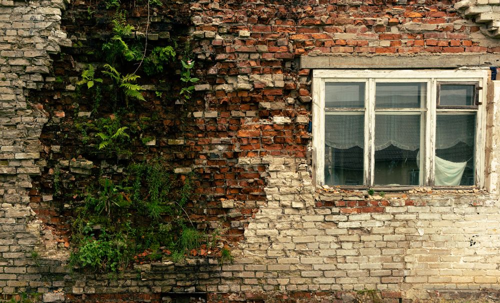 Photograph by Анна Масленникова-Бриль