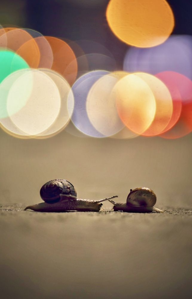 Photograph by Александр Арасланов
