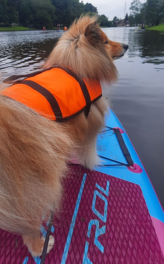 Photograph by Валерия Яскович