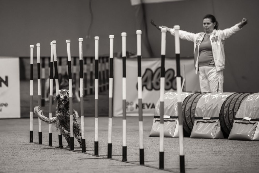 Photograph by Ольга