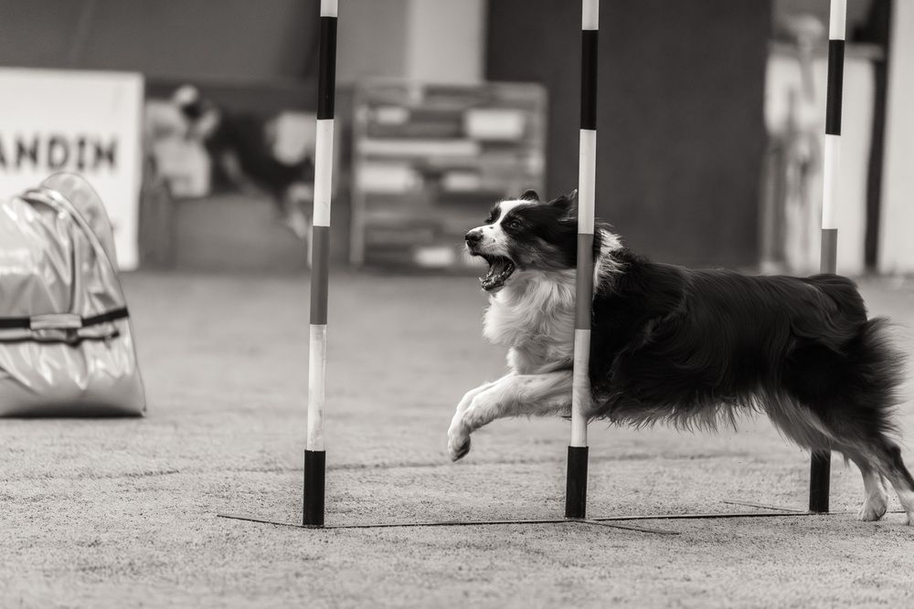 Photograph by Ольга