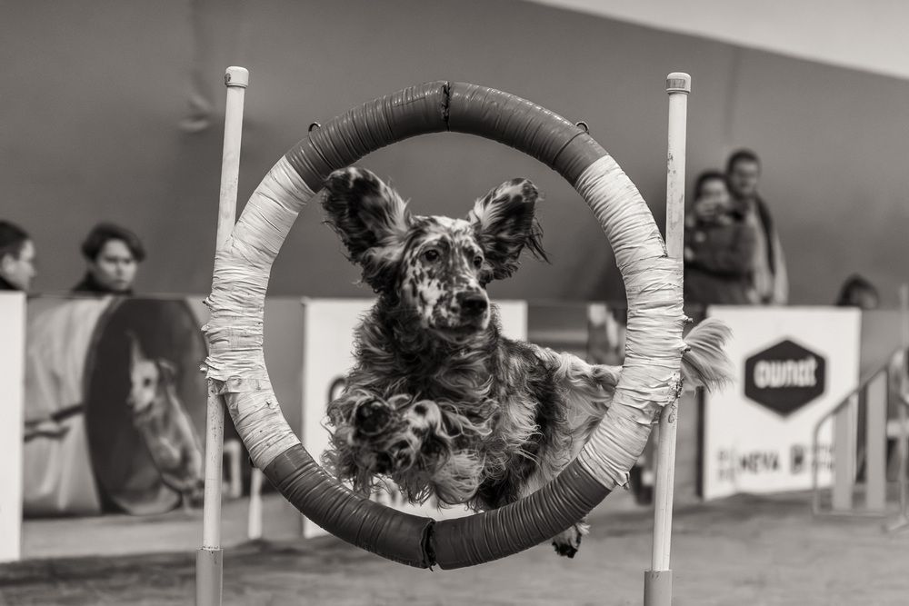 Photograph by Ольга