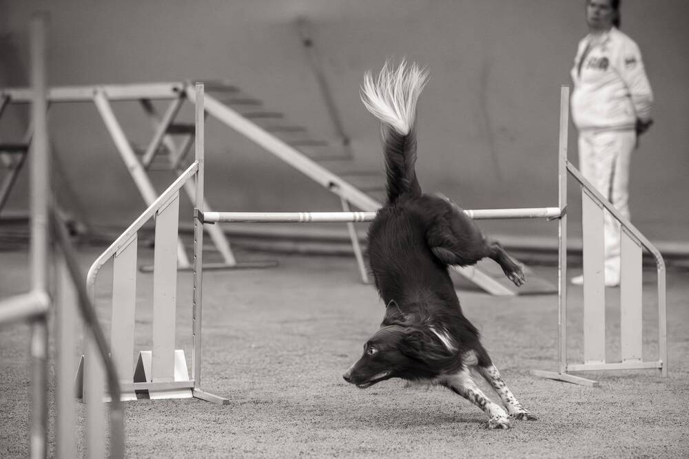 Photograph by Ольга