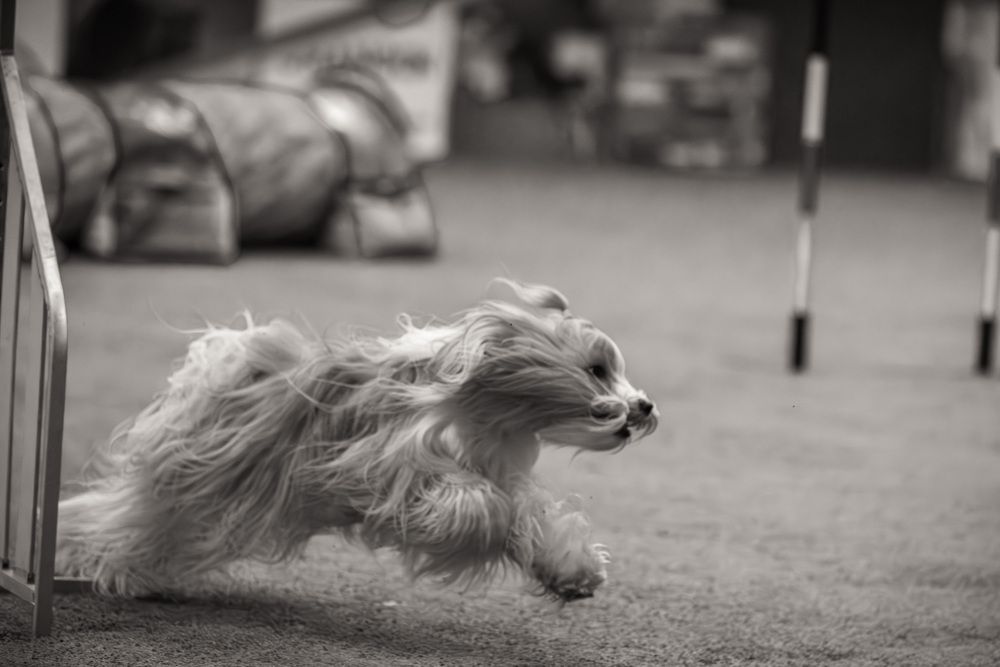 Photograph by Ольга