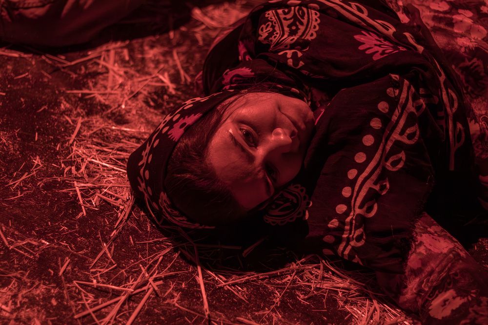 Photograph by Ali Ahmadian