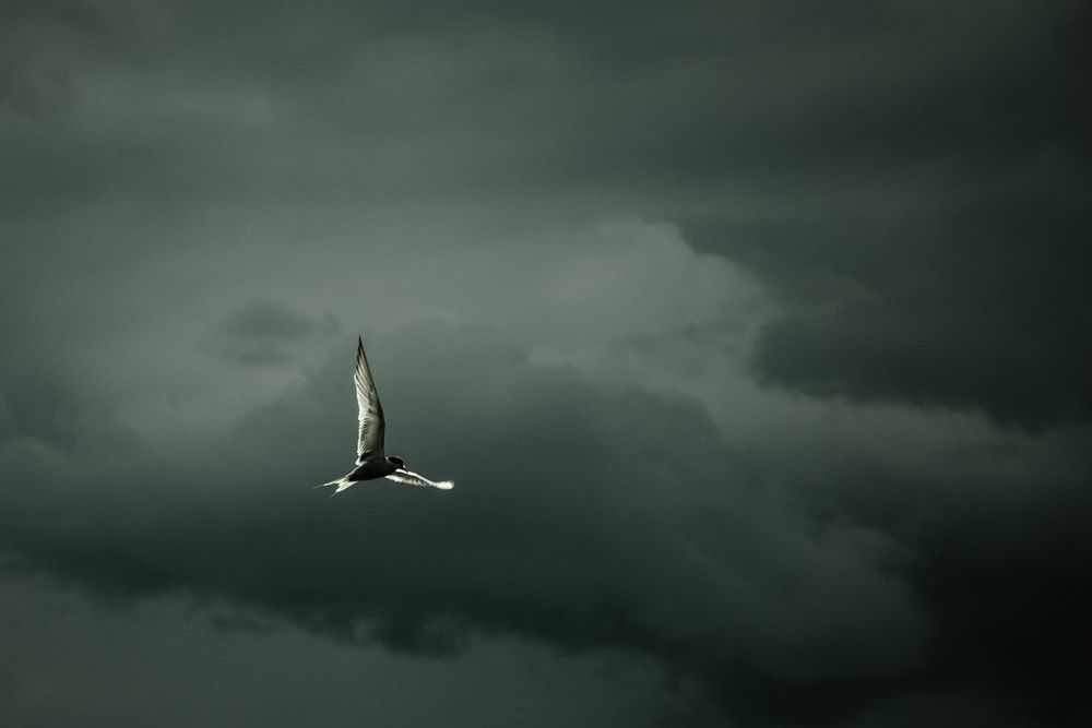 Photograph by Евгений Балакин