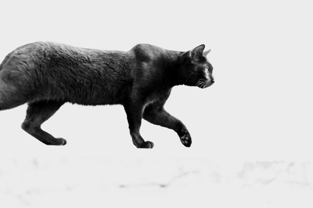 Photograph by Елена Барышева