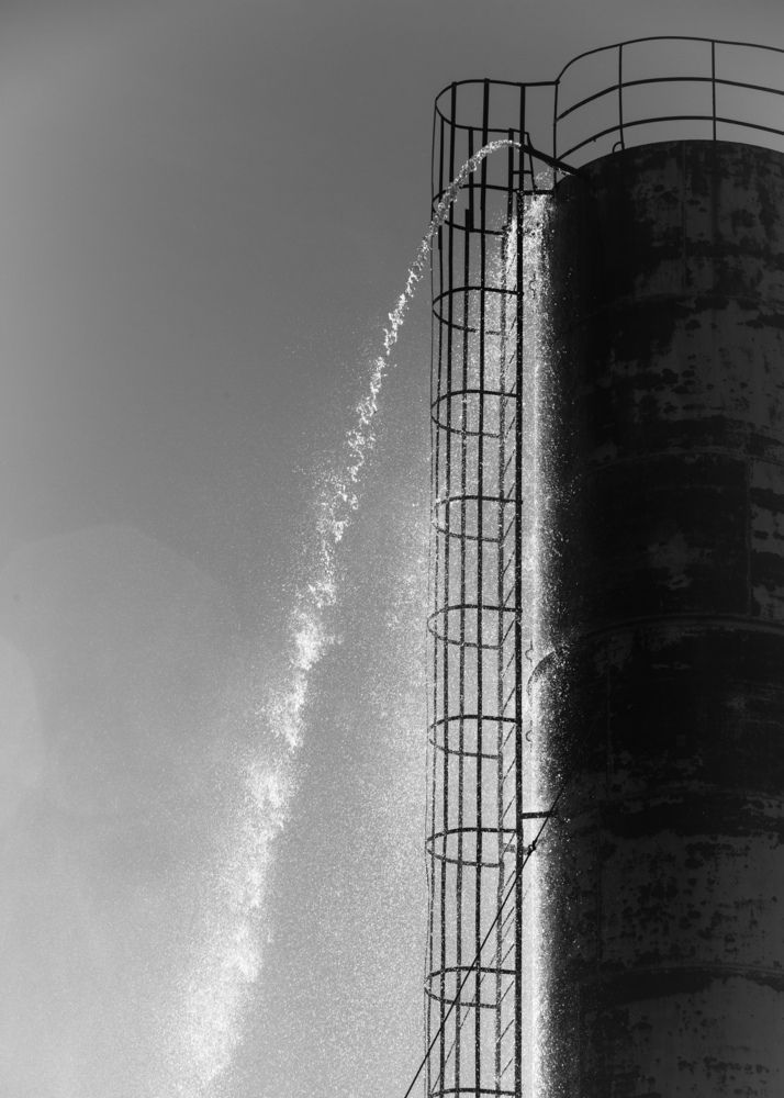 Фотография автора constantnine