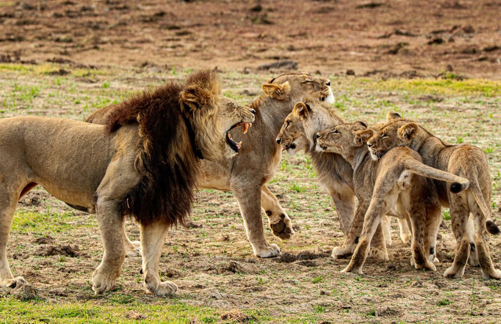 Photograph by Nadine Leonard