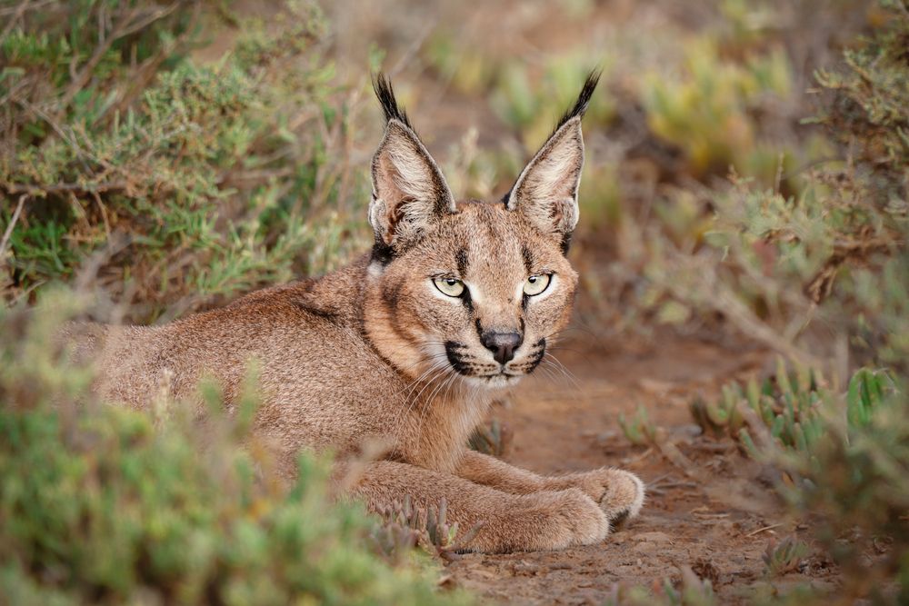 Photograph by Nadine Leonard