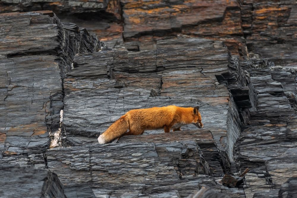 Photograph by Ольга Крицак