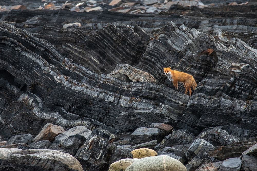 Photograph by Ольга Крицак