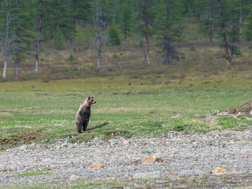 Photograph by Ольга Крицак