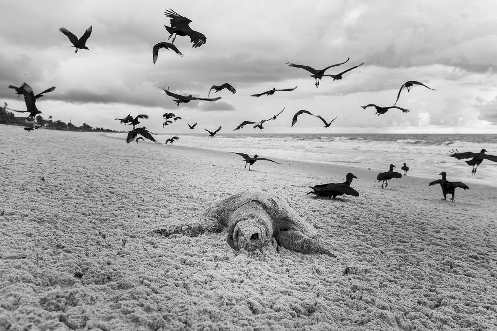 When the sea stops breathing
