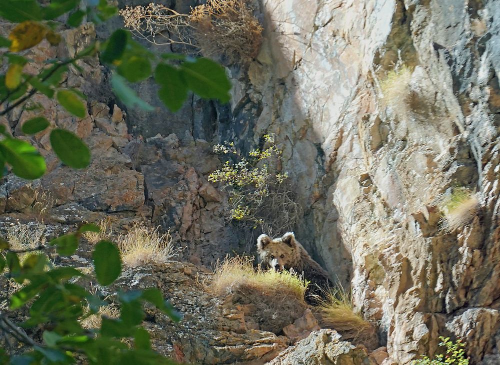 Photograph by Ramil Yangaev