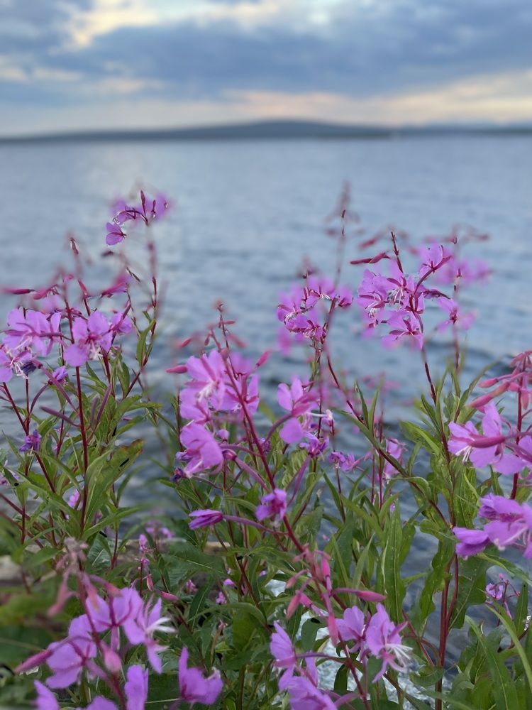 Photograph by Марина Максимова