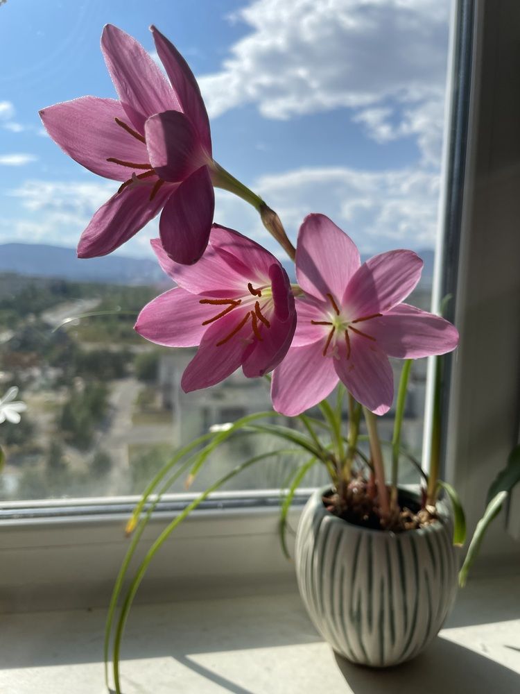 Photograph by Марина Максимова