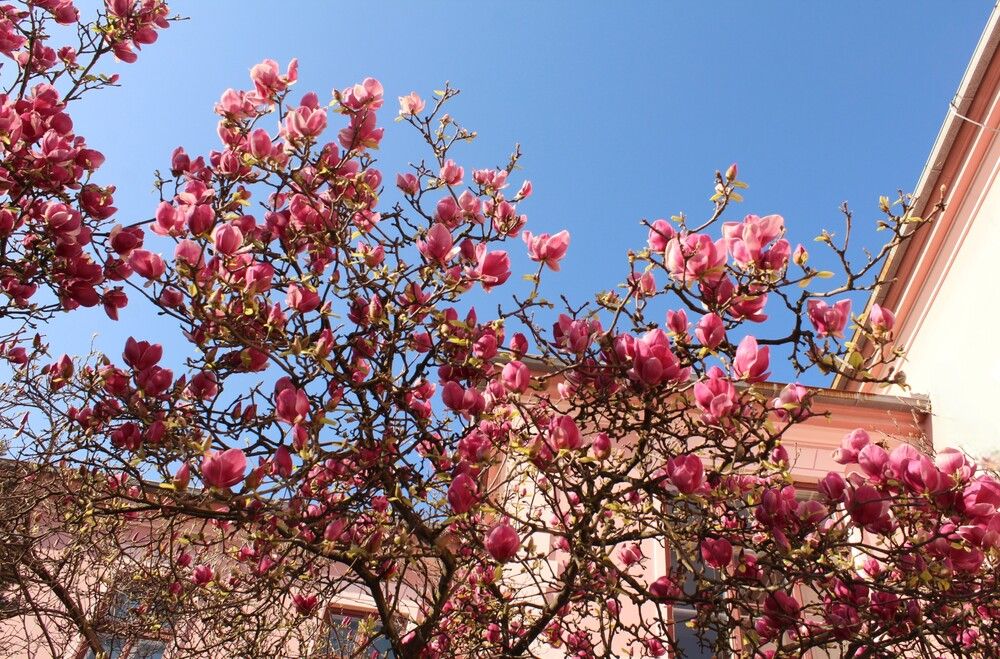 Photograph by Любовь Войводич